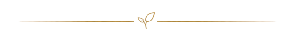 Divider_pflänzchen2
