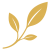 Icon_Zweig